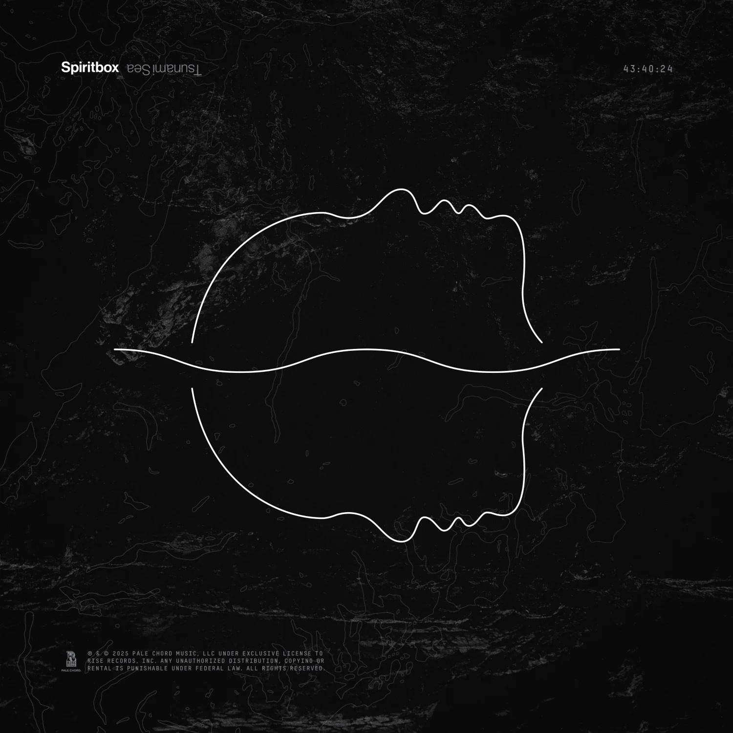 Recomendados marzo: Spiritbox, Airbag, Steven Wilson y más